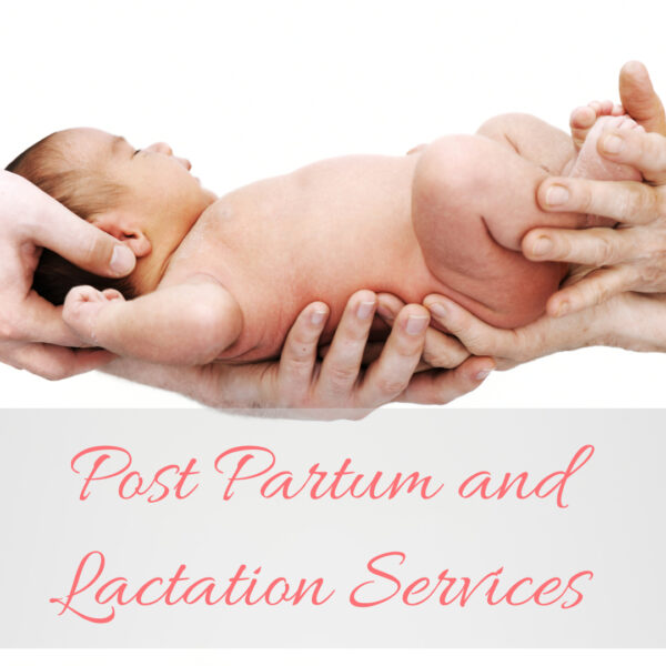 Post Partum and/or Lactation Support